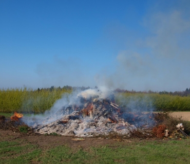 Pálení čarodejnic 2016